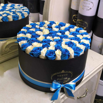 Бело-синие розы в коробке от 19 шт. Бело-синие розы в коробке от 19 шт.