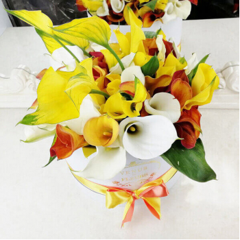 Микс из калл от 51 шт.