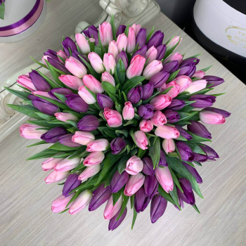 Фиолетово-розовые тюльпаны в коробке от 101 шт. Фиолетово-розовые тюльпаны в коробке от 101 шт.