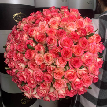 Букет розовых роз - 101 шт.