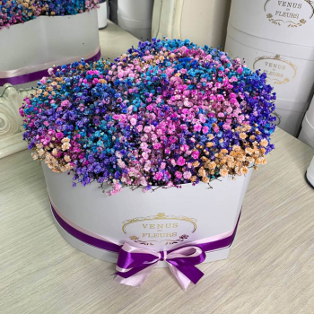 25 разноцветных гипсофил в сердце 25 разноцветных гипсофил в сердце