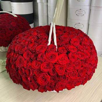 251 красная роза в корзине