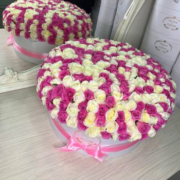 301 бело-розовая роза в коробке