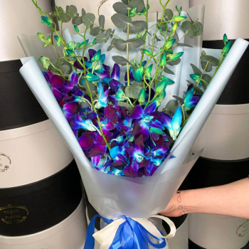 Синие орхидеи в букете от 29 шт. Синие орхидеи в букете от 29 шт.