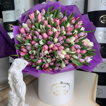 151 тюльпан в нежном миксе 151 тюльпан в нежном миксе