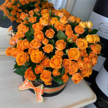 Коралловые кустовые розы от 19 шт. Коралловые кустовые розы от 19 шт.