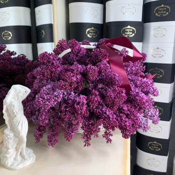 Корзина из веток сирени - 51 шт.