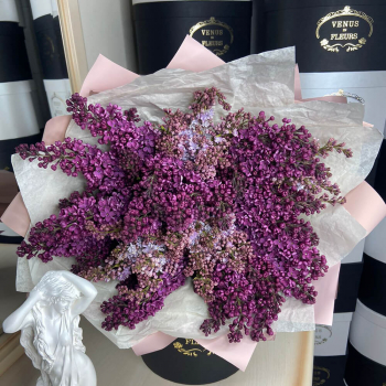 Букет из 9 веток сирени Букет из 9 веток сирени