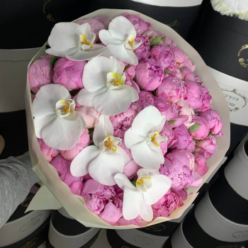 Нежно розовые пионы с орхидеями в букете Нежно розовые пионы с орхидеями в букете