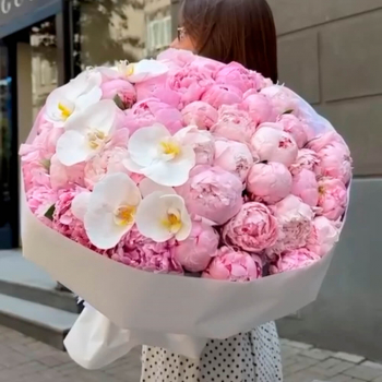 25 розовых пионов с орхидеями в букете 25 розовых пионов с орхидеями в букете