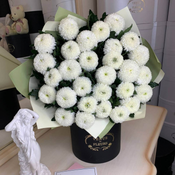Белые шарообразные хризантемы от 9 шт. Белые шарообразные хризантемы от 9 шт.