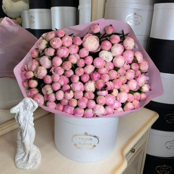 101 нежный пион в букете 101 нежный пион в букете