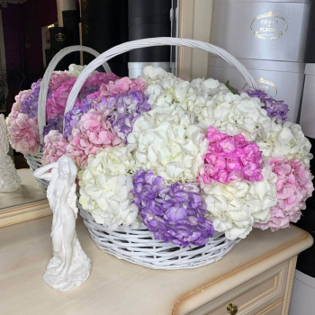 Огромный букет из гортензий - 35 шт. Огромный букет из гортензий - 35 шт.