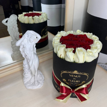 19 красных роз с окантовкой 19 красных роз с окантовкой