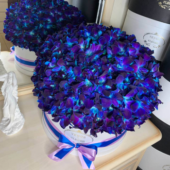 Большой букет из синих орхидей - 201 шт.