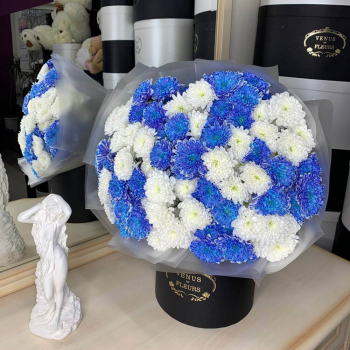 19 бело-синих кустовых хризантем в букете