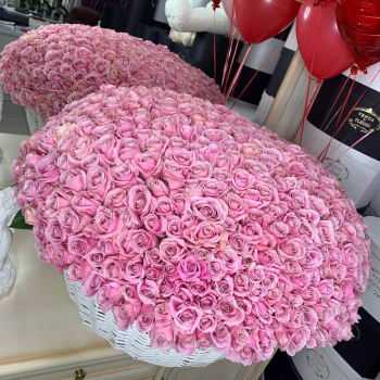 501 нежная роза в корзине