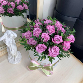 19 фиолетовых роз в коробке 19 фиолетовых роз в коробке