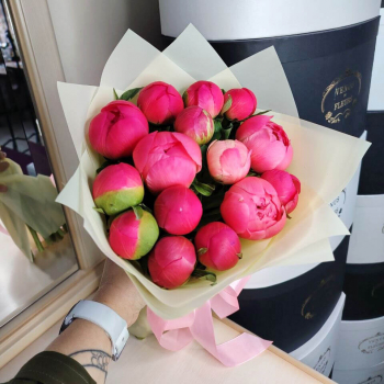 15 коралловых пионов в букете 15 коралловых пионов в букете