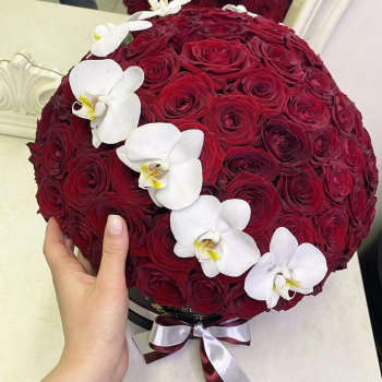 101 красная роза  с орхидеями - шар