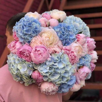 Букет из пионов и гортензий от 29 шт.