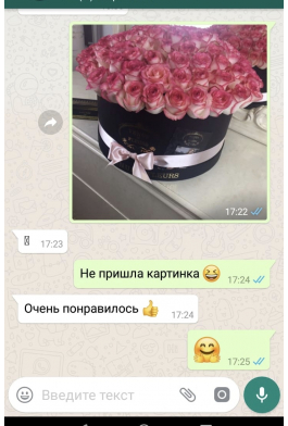 Отзывы